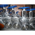 CF3 150lb Flange End Gate Valve with Stainless Steel RF